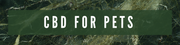 CBD for Pets
